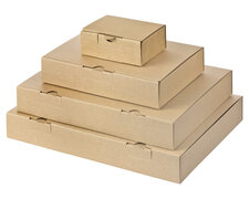 Maxibriefkarton und Warensendung Versandkarton, 305x220x46mm für Din A4, braun