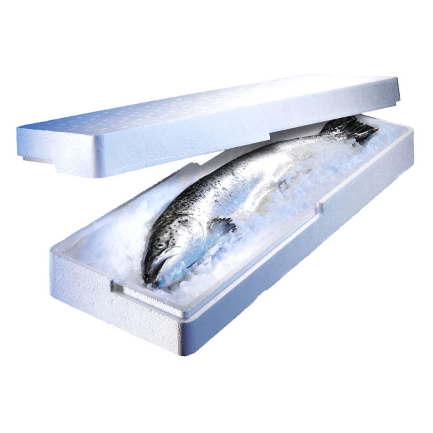 Isolierboxen fr den Fischversand aus Styropor EPS  650x230x96mm 8 Liter